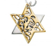 Star of David Necklace by HaAri 